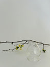 Moonlit Matcha Glass Duo